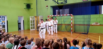 bb13b27a-de78-4cb3-83b1-6c8115a21463.jfif