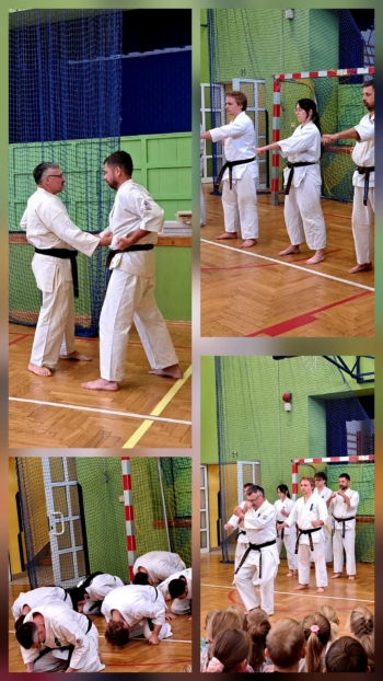 6984fc0e-8ecd-4c8b-a1a9-68bedd4be14d.jfif