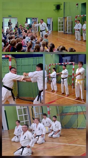 02b2cd84-a037-4c32-bcc9-3cb5123f98ba.jfif