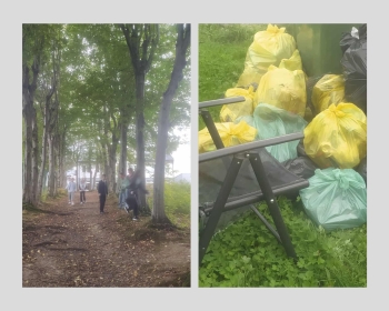 b9465e35-8b44-4ce4-8f98-7ebea3f7b6ff.jfif