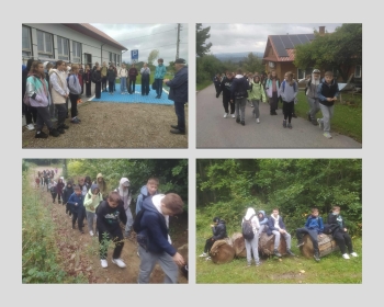 37ce207d-34f8-44f4-8cac-dcef8e0568a7.jfif