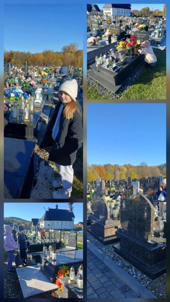 20521db6-d8cb-4a29-ae16-593ce02e59b7.jfif