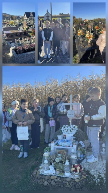 80c3f4fb-c9e2-4da5-8f42-c0c51adf3978.jfif