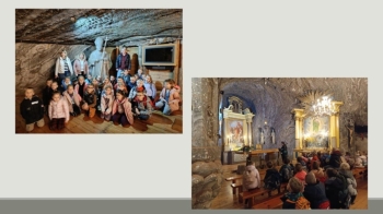 37ed45a0-d10e-4c86-99ba-d9a1e6b3376e.jfif