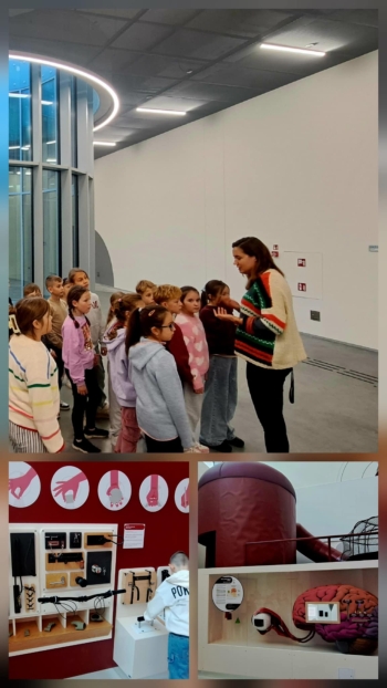 7d64b237-030f-4c86-bb7a-3cdfa6f134cd.jfif