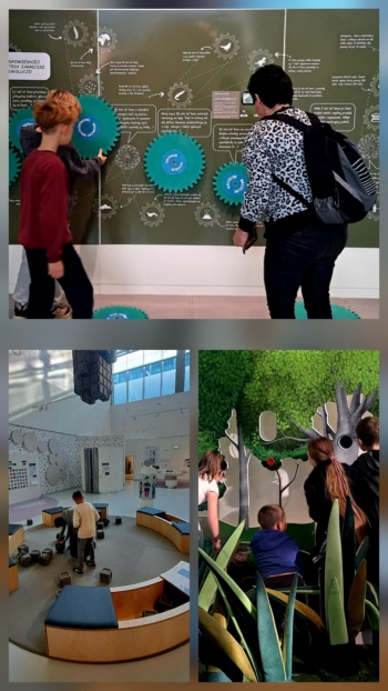 aff27aa7-e89d-4dab-9003-ac155d7ff673.jfif