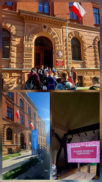 f2e3b164-31b7-4e4e-894f-c6cc93ae7eea.jfif