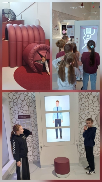 42a2977c-ac51-4ccd-a6c5-eff753e8c533.jfif