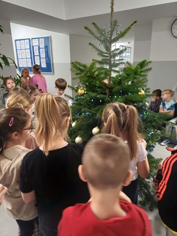 e706b08f-c5ca-4d2f-888f-86817aa16b03.jfif