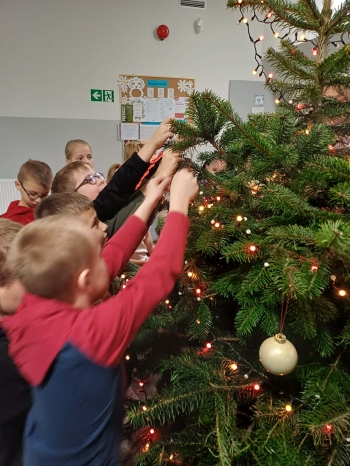 7d1207bb-7388-4cf3-83c7-1a59a5a412b8.jfif