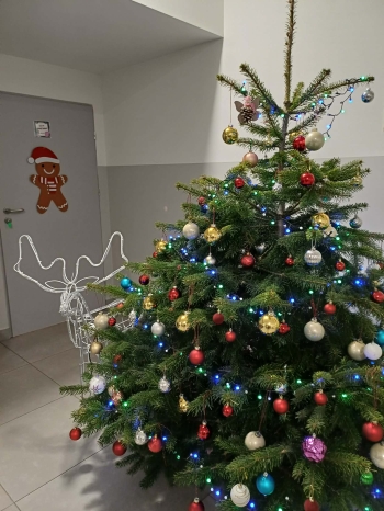 13521633-a4ea-4936-952e-8754d14b3b77.jfif