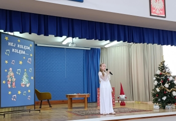 8b2c0a3a-de5f-4d3b-b766-8fefe9530884.jfif