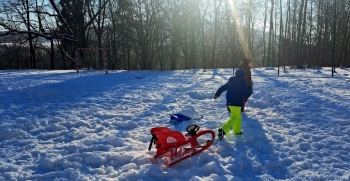 9586150a-db0c-4d0e-bc38-0c26a21ffa49.jfif