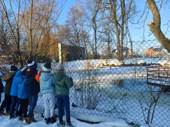 2558322d-ea0b-4325-acc1-14ddbca1f975.jfif