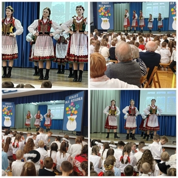 daa4fe76-4871-4fac-a79c-8c33b5e35dfc.jfif