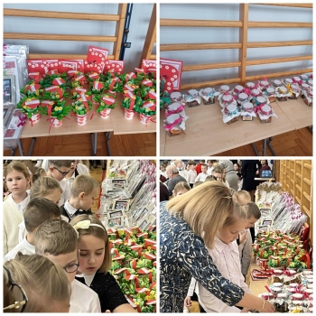 72d037c2-2a3e-47ed-aad7-37585a97e44e.jfif