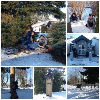 5201f46e-7a57-4195-a3e8-5a264f7a03b9.jfif