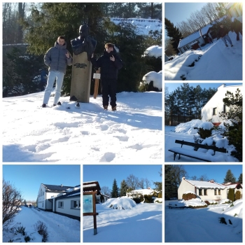 1f5b3623-183a-4f8e-a282-1a5db460240a.jfif