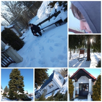 8b44044a-8c0d-4093-87a7-b1b1890ddeea.jfif