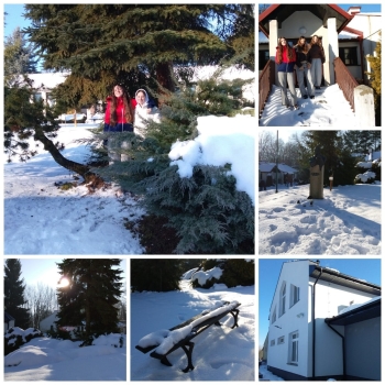 469c29fc-5626-406f-aebc-04b15db51ef5.jfif