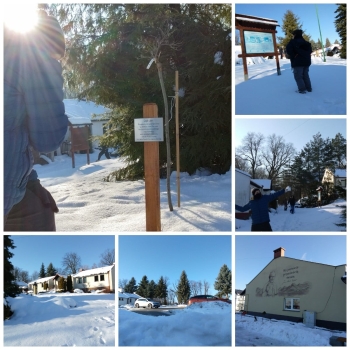 f213f677-f9fd-4011-ab9e-127c07cbbd77.jfif