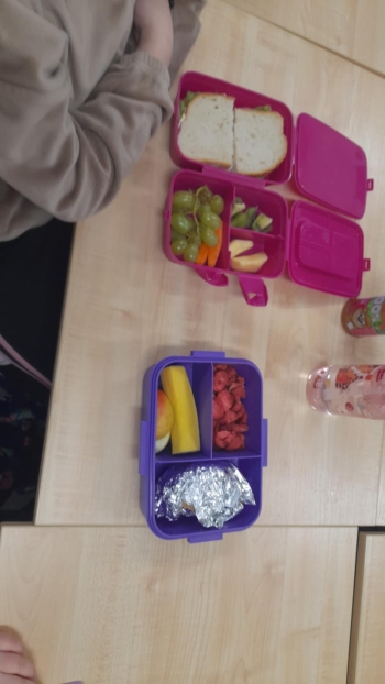 48db2b60-8028-4e69-a050-304553e00443.jfif