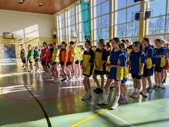 6ee9c2ca-a032-4ec9-b8e7-bcbc87709bba.jfif