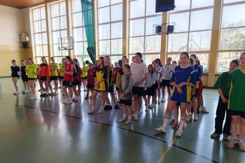 8b85ce46-6fd7-4711-acd1-5c4283d84313.jfif