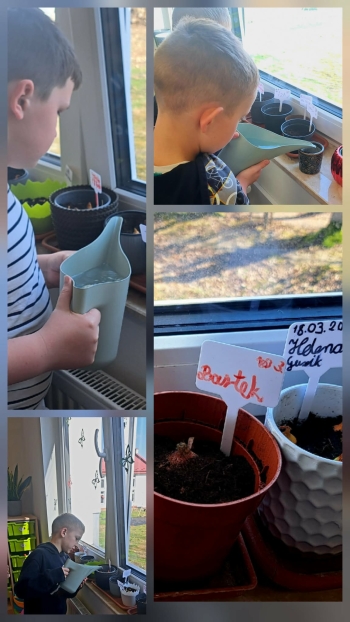 56bc9a04-14aa-4f77-a10e-85e4f4fa6b1d.jfif