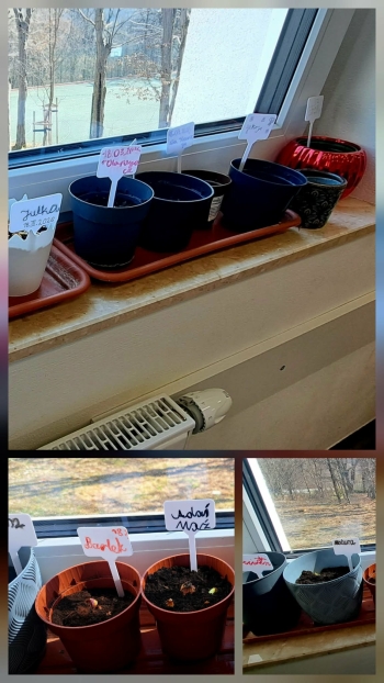 f44a9352-bc2b-49de-b1fa-886a8b4f6df3.jfif