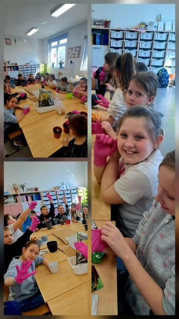 ee4b38c9-358b-4ee9-9f1f-e75f92ca2af7.jfif