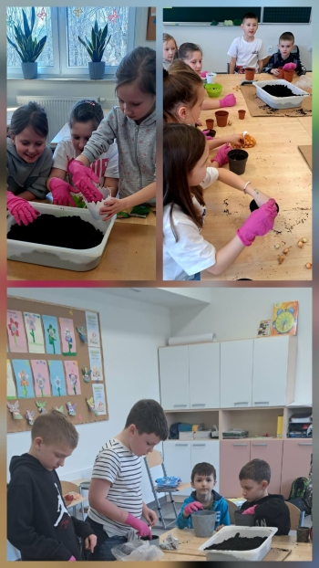 4fa158ef-1f48-4506-a4eb-a775af22a9fd.jfif