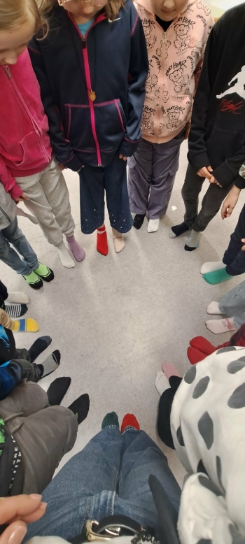 49ee1847-a4d1-4d2c-b66d-ec3a222e00b5.jfif