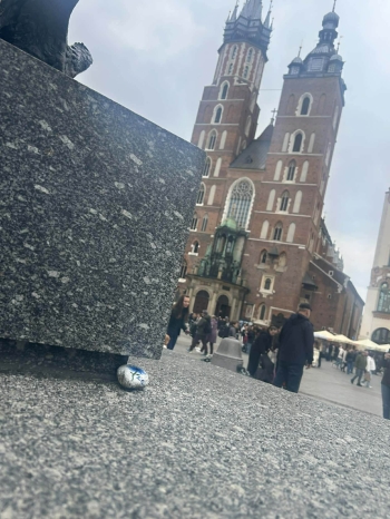 90198ced-a4ef-4f9f-a453-979f0fdde624.jfif