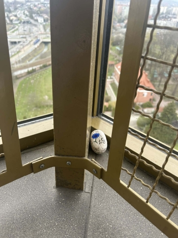 02f59cf9-9b4d-48cf-8e87-57539ebdebb1.jfif