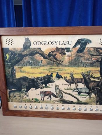 680871403_989909843487266_1437494395821344465_n