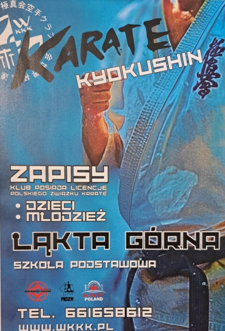 Pokaz karate kyokushinkai 