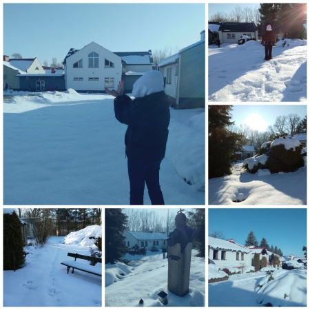 PLENER FOTOGRAFICZNY W SCENERII ZIMOWEJ W KLASIE VII