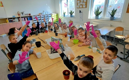 Wiosna na parapecie – młodzi ogrodnicy z klasy 2a